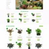 Thiết kế website cây xanh