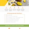 Thiết kế website bán tinh bột nghệ